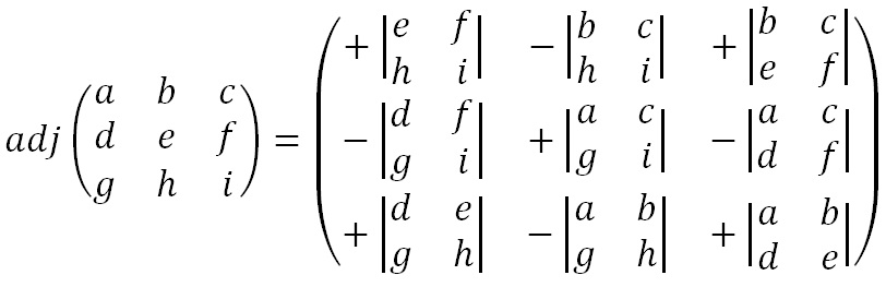 What is the adjoint of a matrix?